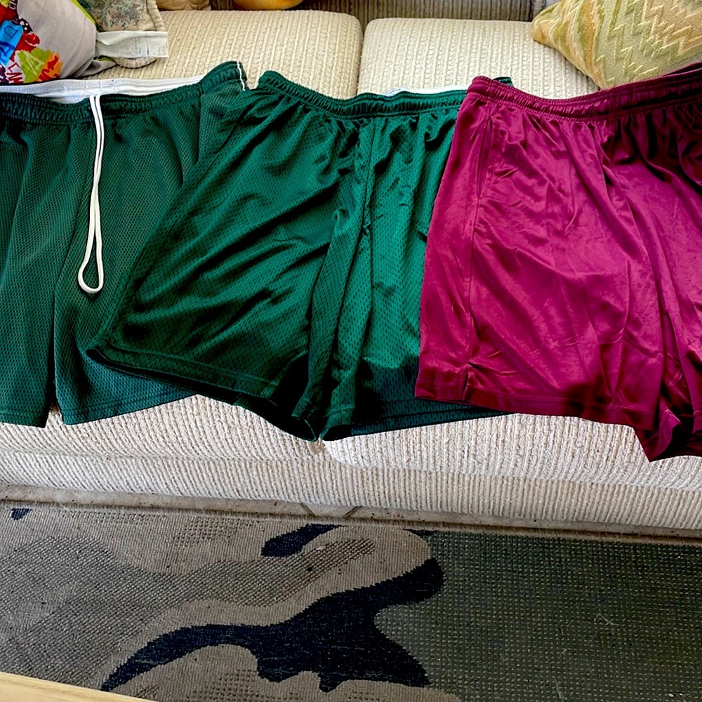 Three pairs of large champion gym shorts. Brand new